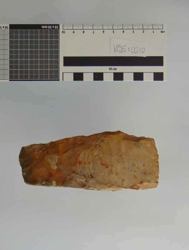 STRALSUND MUSEUM Ernst Gronow